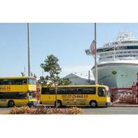 Auckland Shore Excursion: Hop-On Hop-Off Bus Tour