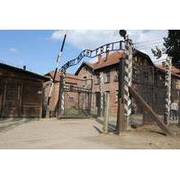 Auschwitz and Birkenau Memorial and Museum Guided Tour from Krakow