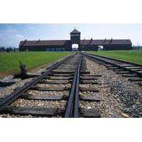 Auschwitz-Birkenau Small-Group Tour from Krakow