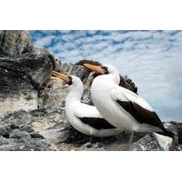 Authentic Gal&Atilde;&iexcl;pagos 4-Day Tou...