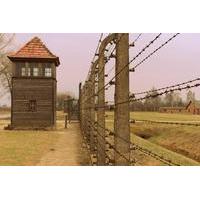 Auschwitz 1 Day Tour from Lodz