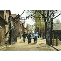 Auschwitz-Birkenau Memorial and Museum English and Spanish Guide from Krakow - AFTERNOON TOUR