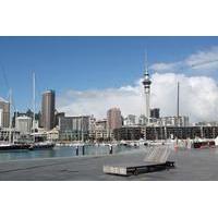 Auckland Downtown and Waterfront Walking Tour