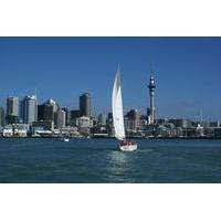 Auckland Harbour Sailing Cruise with Optional Lunch