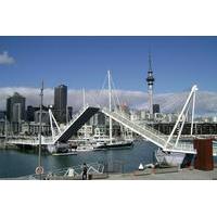 Auckland Shore Excursion: Small-Group Auckland City Tour