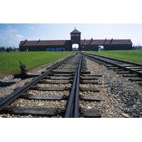 auschwitz birkenau museum and memorial guided tour from krakow