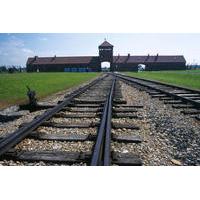 Auschwitz-Birkenau Museum Private Tour from Krakow