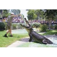 Australian Reptile Park General Entry Ticket