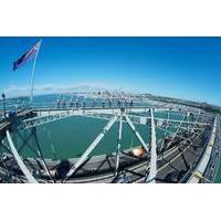Auckland Harbour Bridge Climb