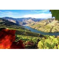 Authentic Douro Wine Tour Including Lunch