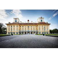 audio guided haydn ticket in esterhazy palace