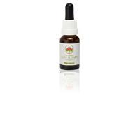 australian bush flower boronia 15ml