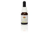 australian bush flower hibbertia 15ml