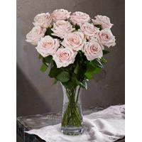 autograph pink roses