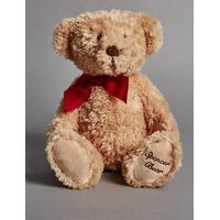 Autograph Spencer Bear