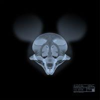 Autopsy of Mickey 1 By Magnus Gjoen