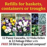 autumn trailing plants amp free compost kit