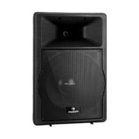 Auna PA-Box 38cm 1500W ABS Equalizer