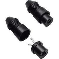 Audio jack Socket, straight Number of pins: 2 Black BKL Electronic 205002 1 pc(s)
