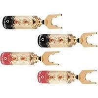 audio jack plug straight gold red black oehlbach 3033 4 pcs