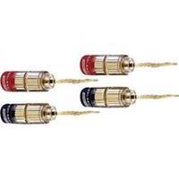 audio jack plug straight red black oehlbach 3022 4 pcs