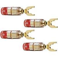 audio jack plug straight gold oehlbach 3023 4 pcs