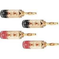 Audio jack Plug, straight Gold, Red, Black Oehlbach 3030 4 pc(s)
