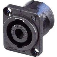 Audio jack Sleeve socket, straight pins Number of pins: 4 Black, Blue Neutrik NL 4 MP 1 pc(s)