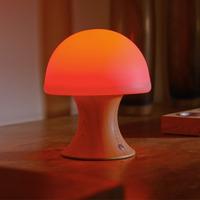 Auraglow Colour Changing Mushroom Lamp