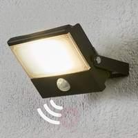 Auron functional LED outdoor spotlight, sensor