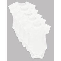 Autograph 5 Pack Pure Superfine Cotton Bodysuits