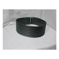 Aurelio Costarella - Black/ Grey Belt