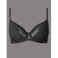 autograph dentelle lace padded full cup bra a e