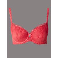 Autograph Embroidered Padded Balcony Bra A-E