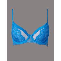 autograph dentelle lace padded full cup bra a e