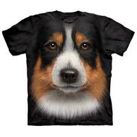 Australian Shepherd Face