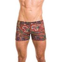 auden tan through swim shorts