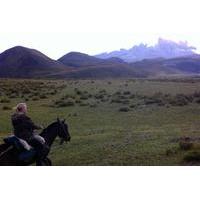 Avenue of the Volcanoes Overnight Horseback Riding Tour