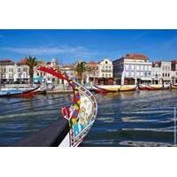 Aveiro and Bairrada Small Group Tour with 2 Gastronomic Experiences and 2 Wine Tastings