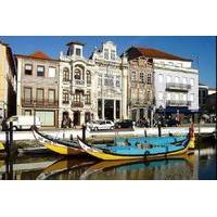 Aveiro Half-Day Tour from Porto Including Moliceiro River Cruise