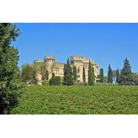 Avignon and Chateauneuf du Pape Wineries Small Group Tour from Aix en Provence