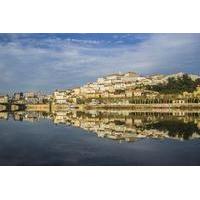 Aveiro and Coimbra - Small Group Tour with lunch and Boat Cruise from Porto