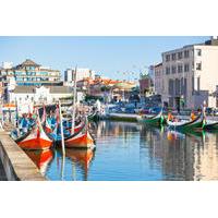 Aveiro Tour from Porto Including Moliceiro Cruise