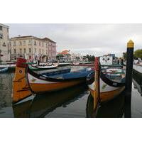 Aveiro Tour With Sightseeing Cruise and Lunch