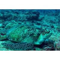 AVEYLA MANTA VILLAGE