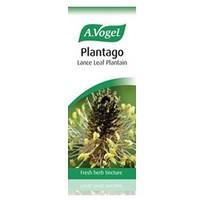 avogel plantago lanceolata herbal tincture 50ml