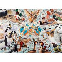 Avian World No.2 - Water Birds, 1000 Piece Jigsaw Puzzle