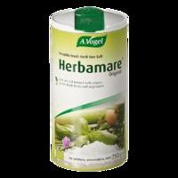 A.Vogel Herbamare Original Season Salt 250g - 250 g