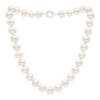 Avery Row Pearls Large Pearl Necklace