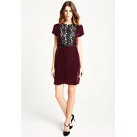 available for pre order lbd kim lace and velvet mini dress in burgundy